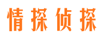 蒲县侦探公司